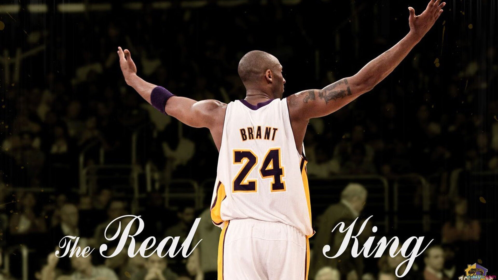 华体会官网-聚焦新人：WRC新秀表现令人期待，wrc视频2020