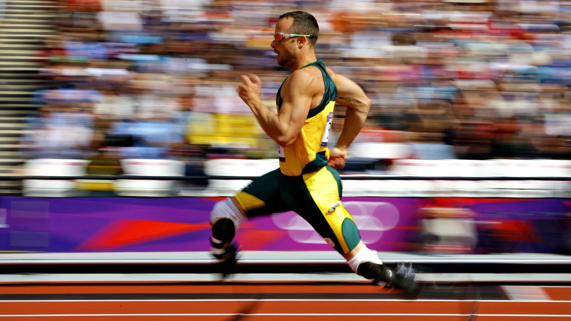 职业拳击联赛新增积分机制优化对战安排，职业拳击赛级别