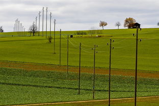 华体会手机在线-球员体能负荷评估工具上线助力教练科学制定训练计划，体育负荷强度